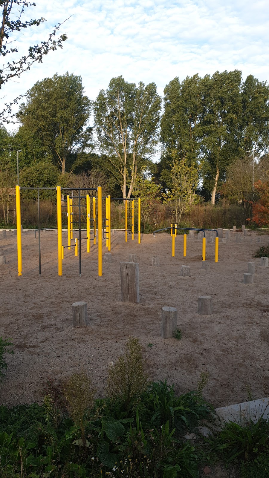Calisthenics park