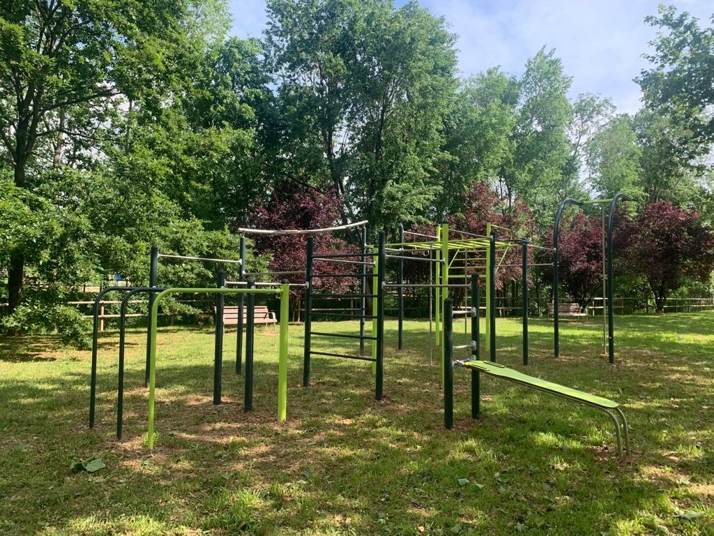 Cal•listènia i Workout