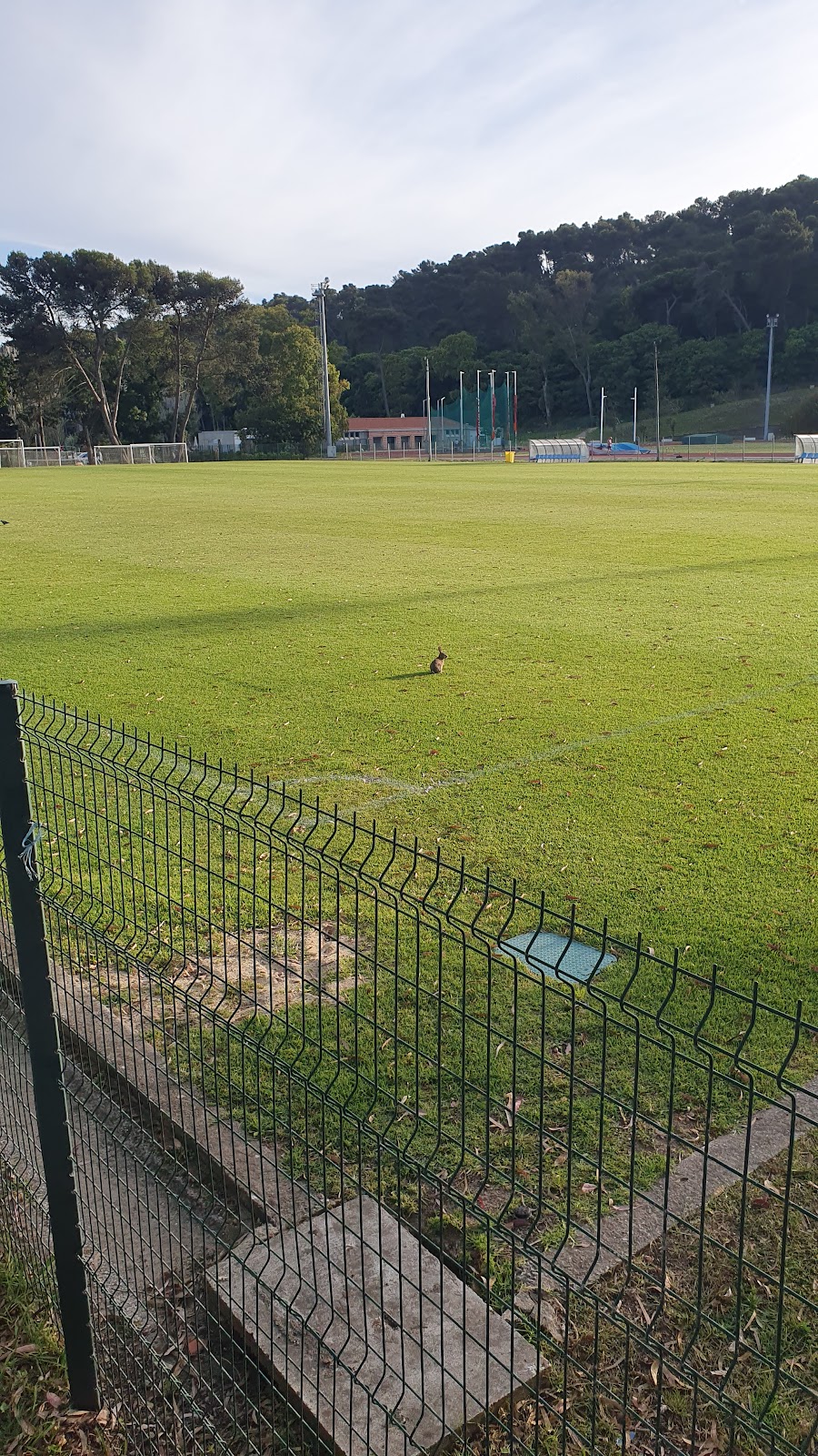 Campos de Treino do Jamor