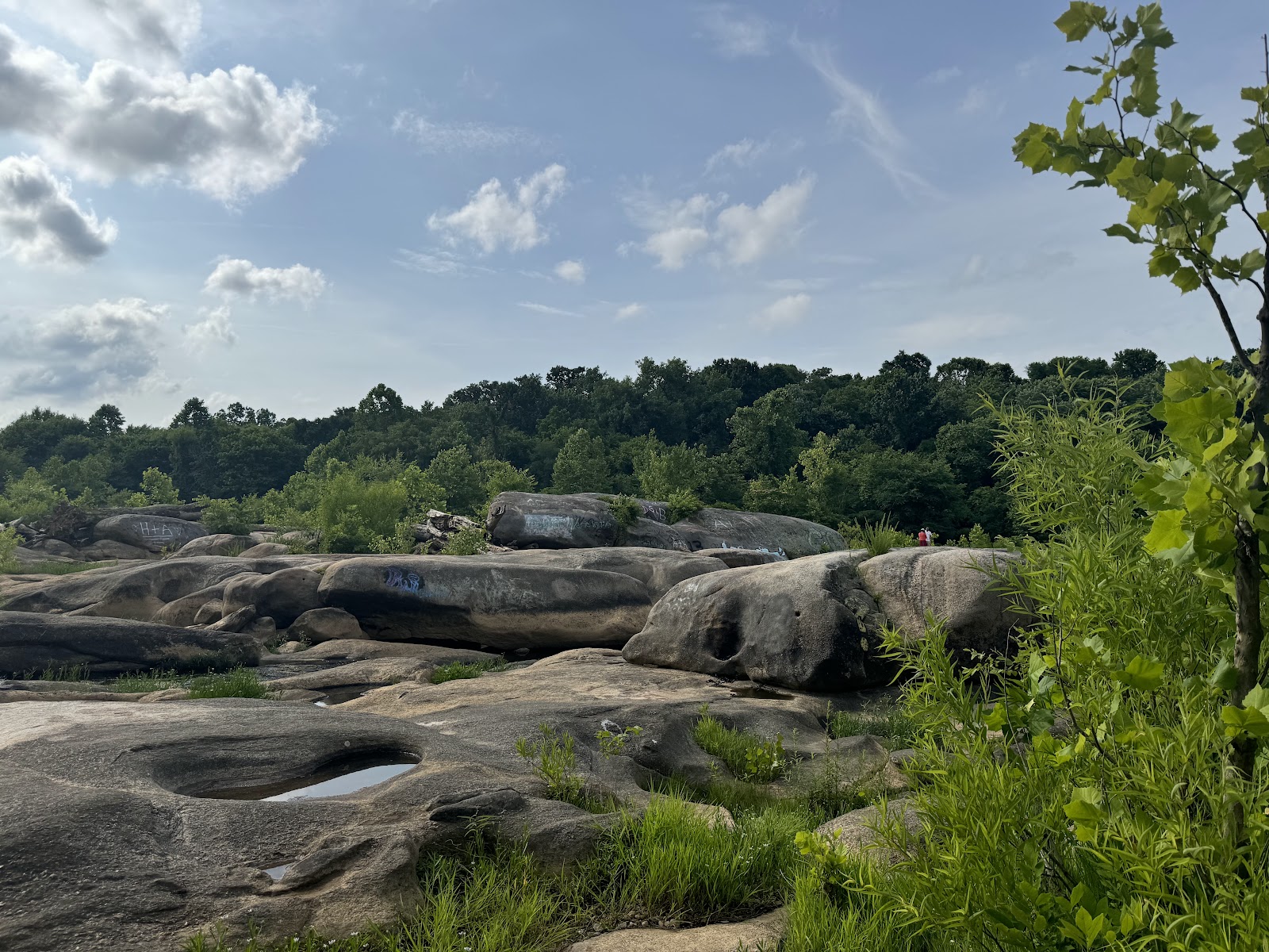 Canoe Run Park