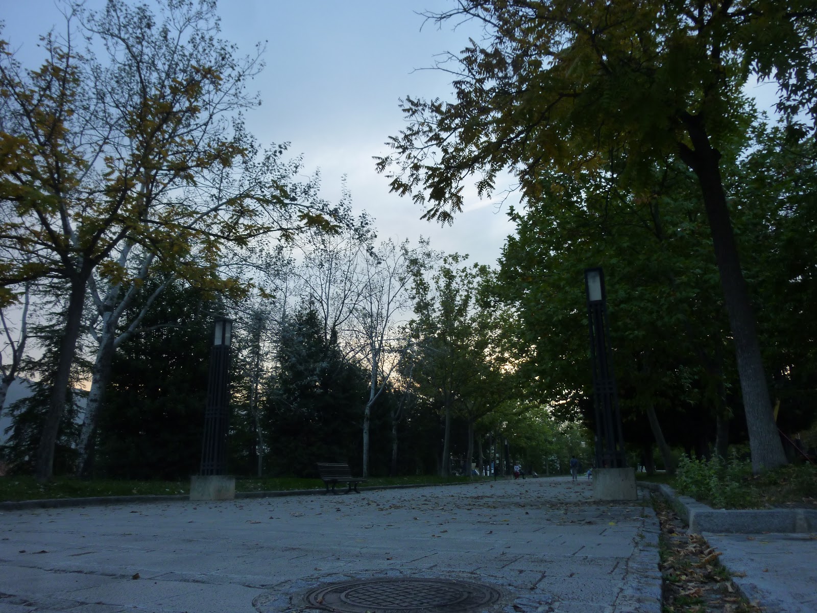 Cantagallet Park
