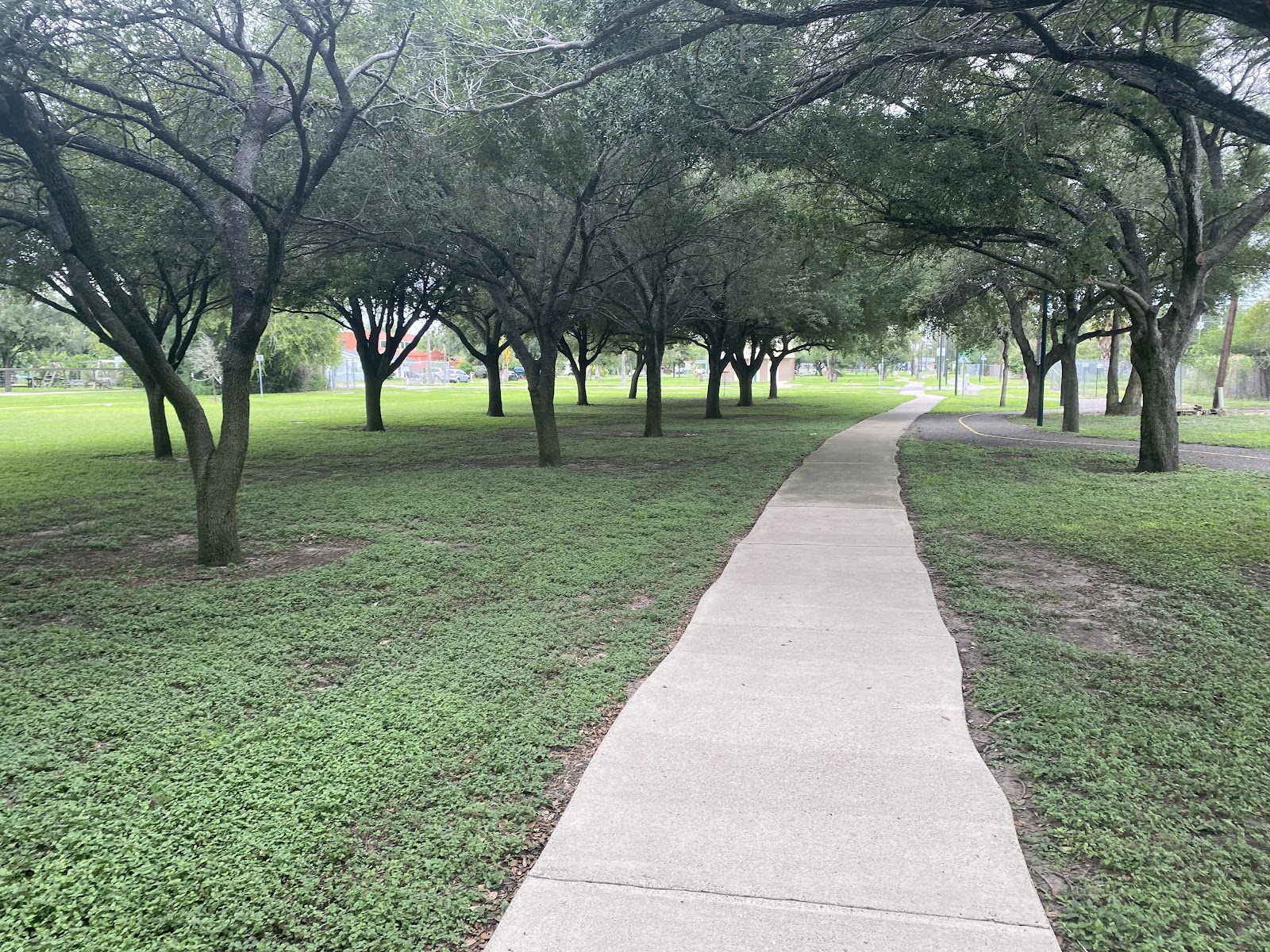 Cenizo Park
