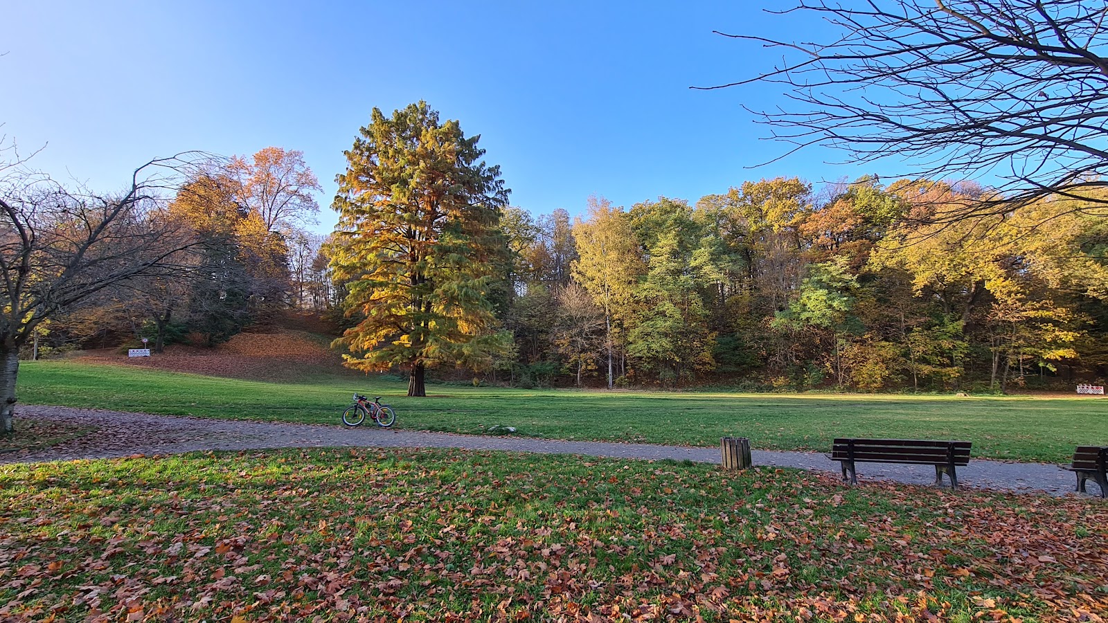 Claußscher Park
