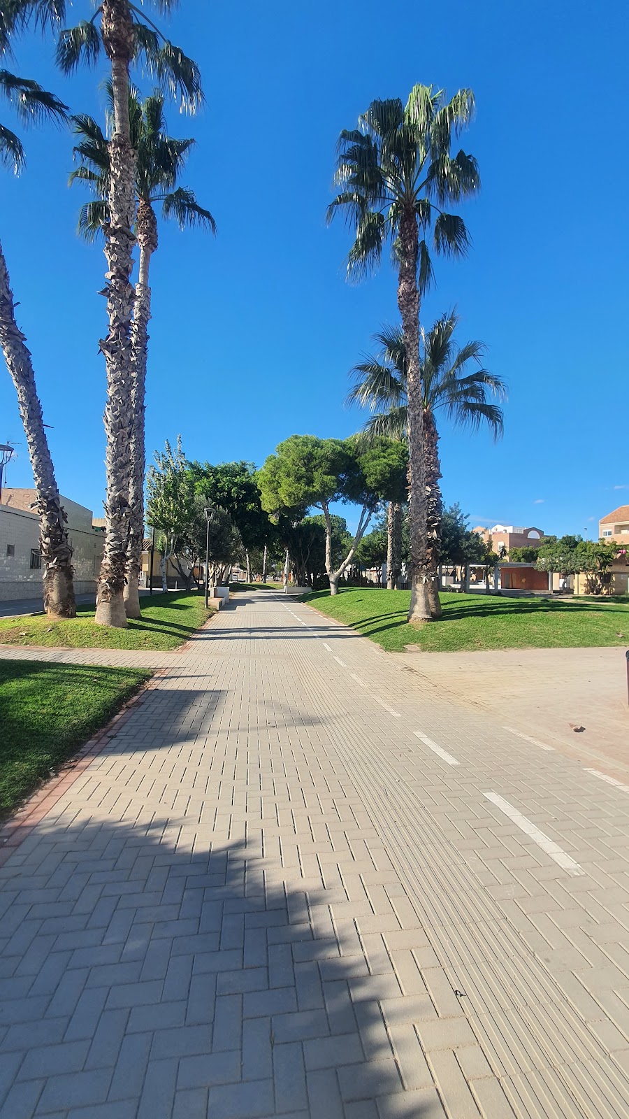 Constitución Park