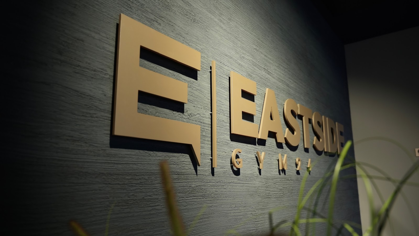 EASTSIDE-GYM24 | Fitnessstudio | Hohenstein-Ernstthal