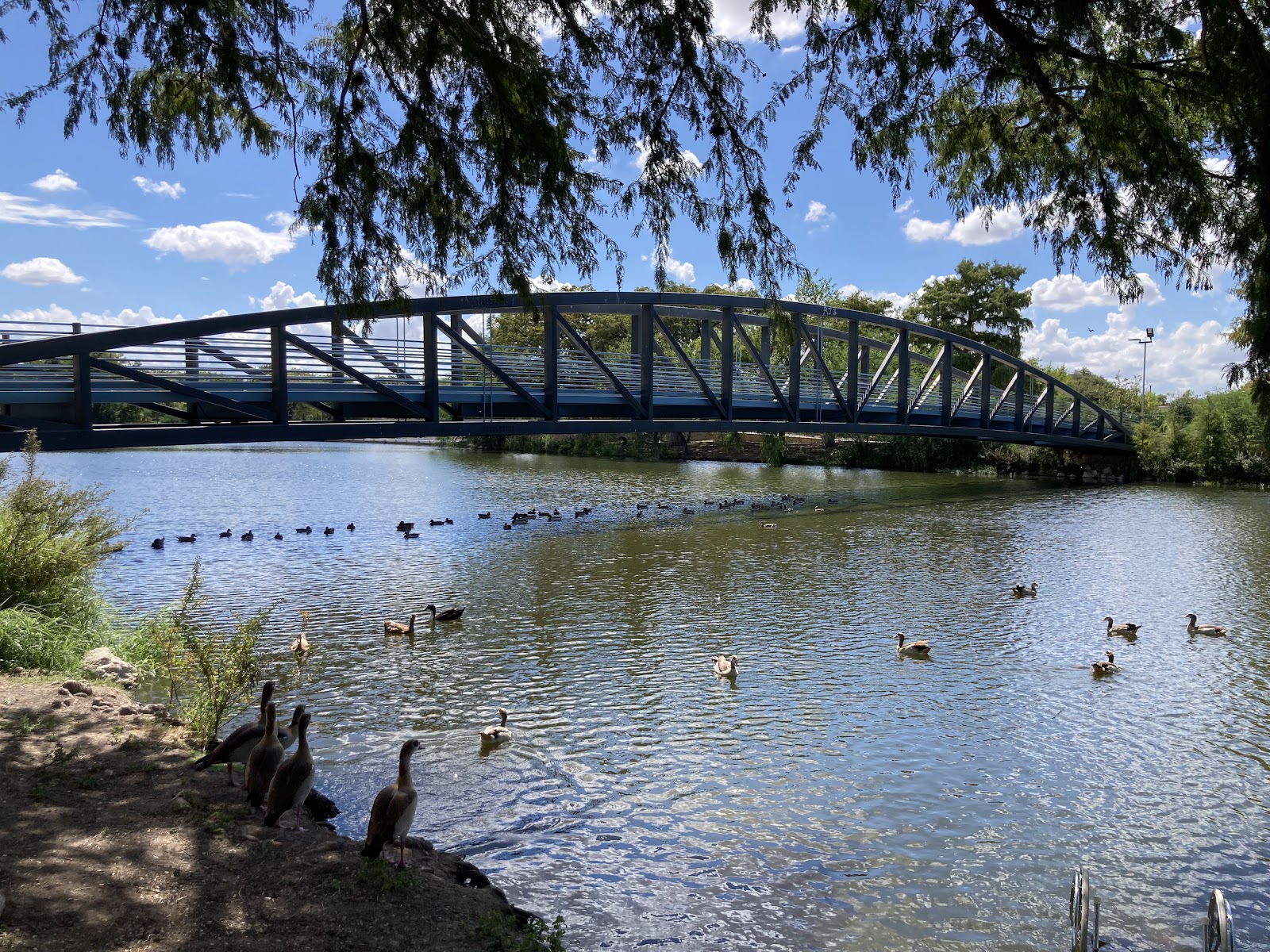 Elmendorf Lake Park