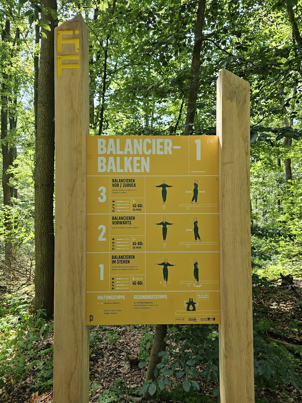 Fit im Forst