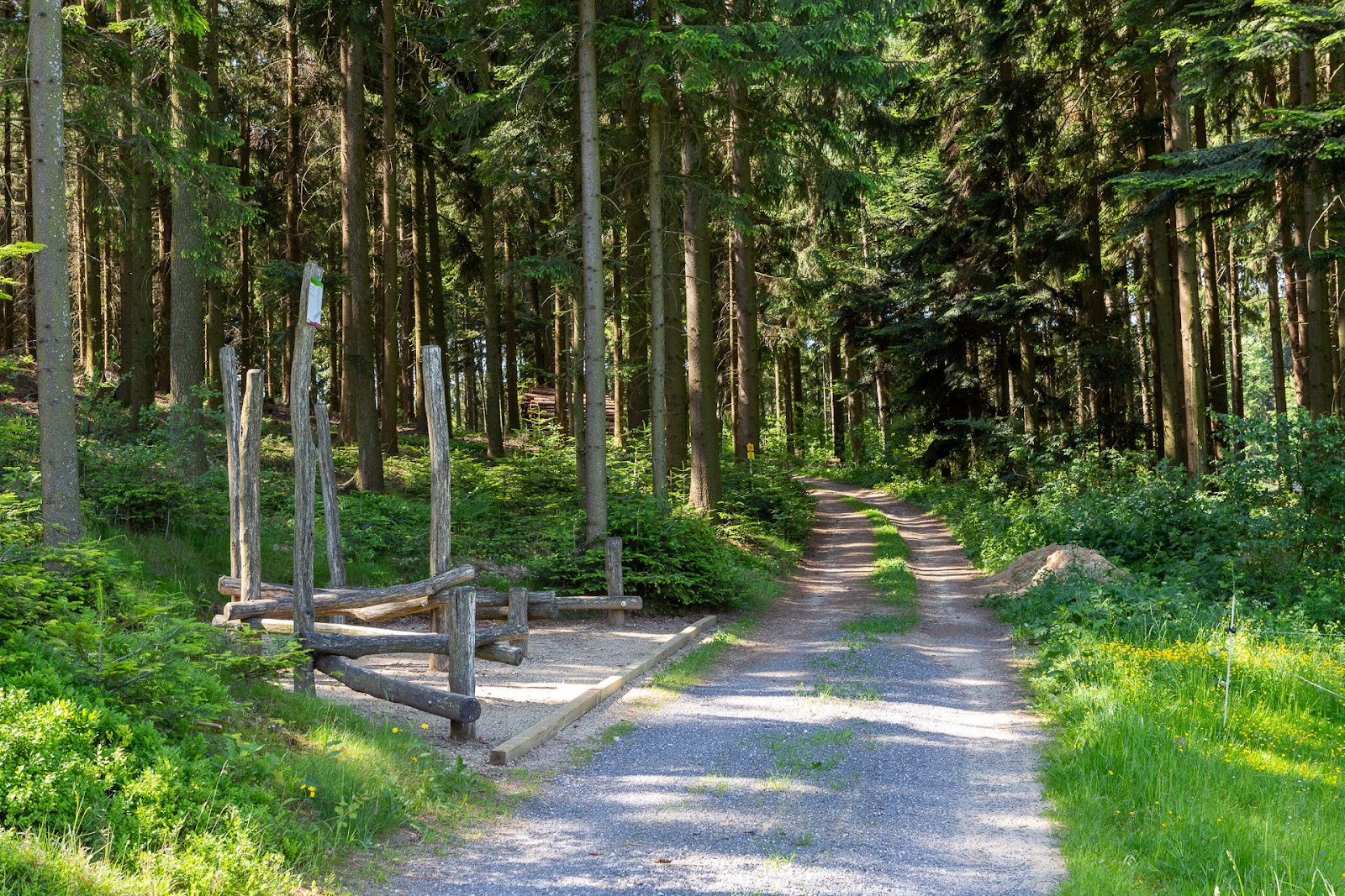 Fitness-Parcours
