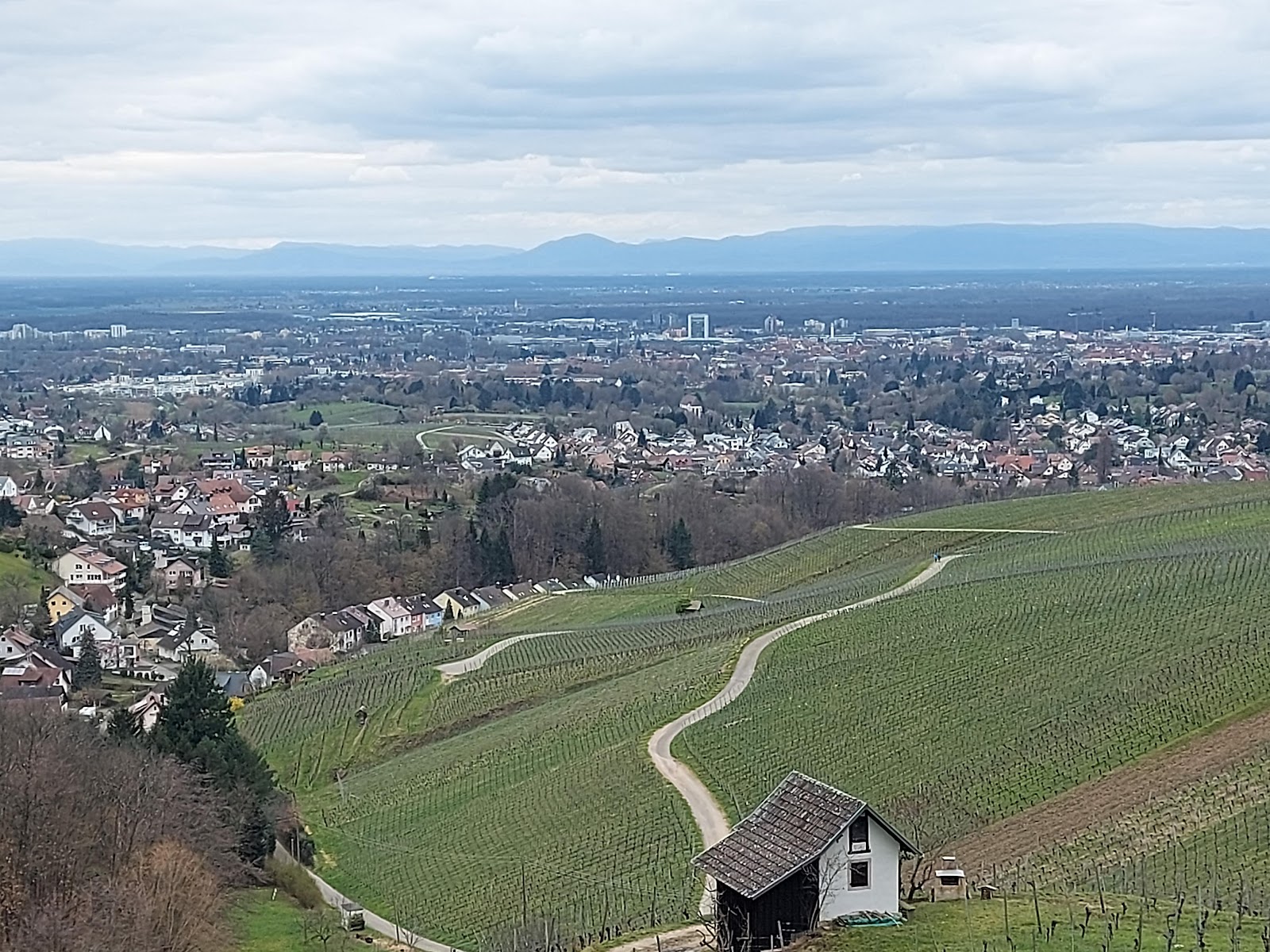 Fitness Trail Zell-Weierbach