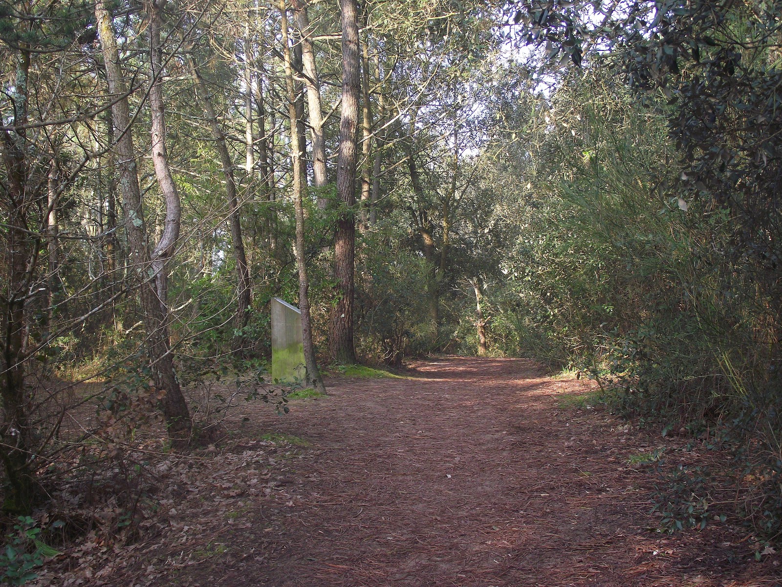 Forêt de La Baule Escoublac