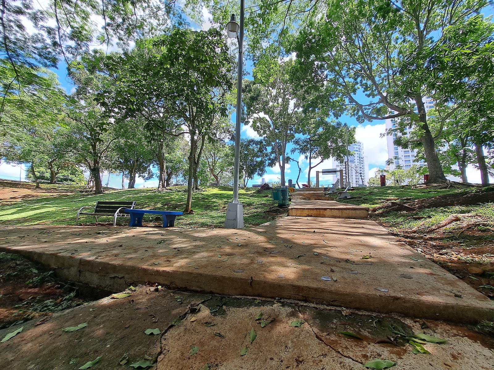 Forestal Hato Pintado Park