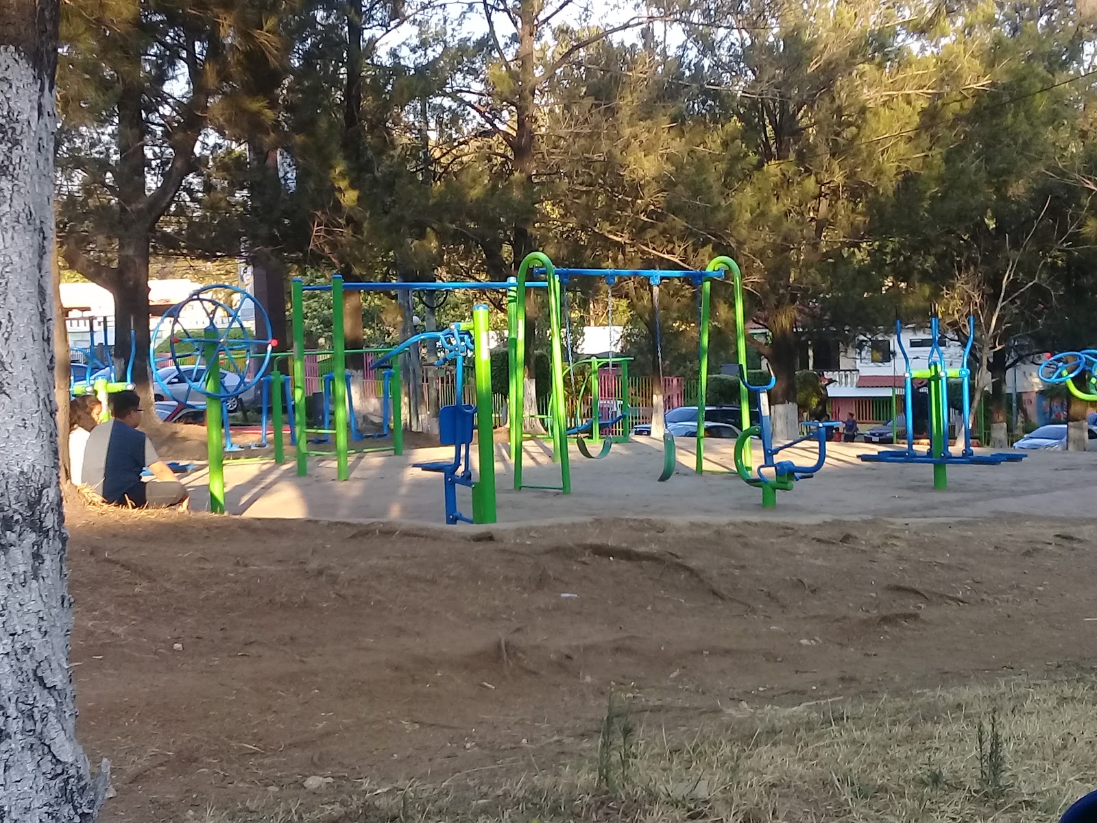 Gimnasio Area Verde Municipal