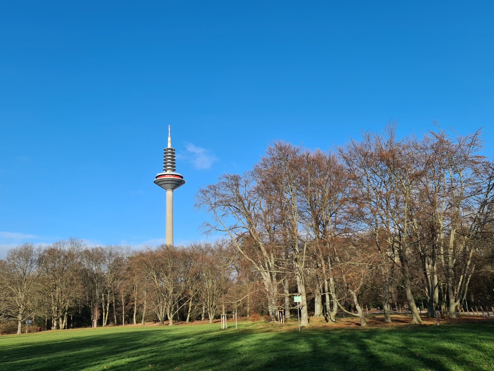 Grüneburg park