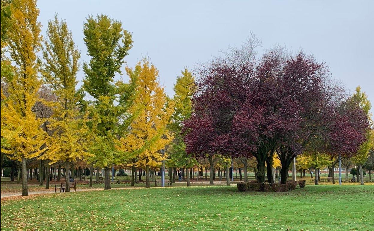 Granja Park