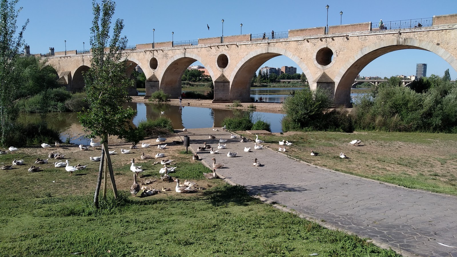 Guadiana Park