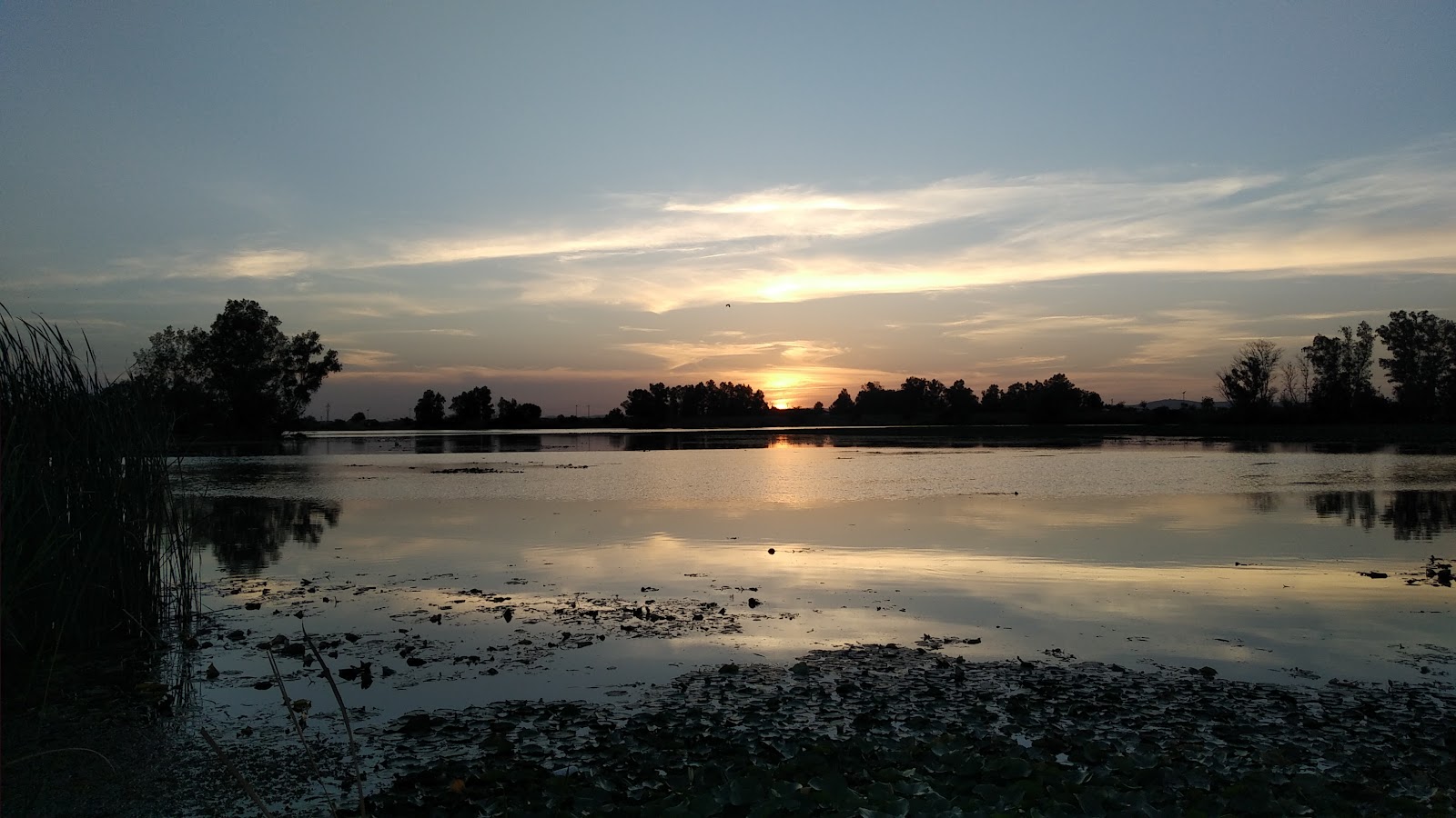 Guadiana Park
