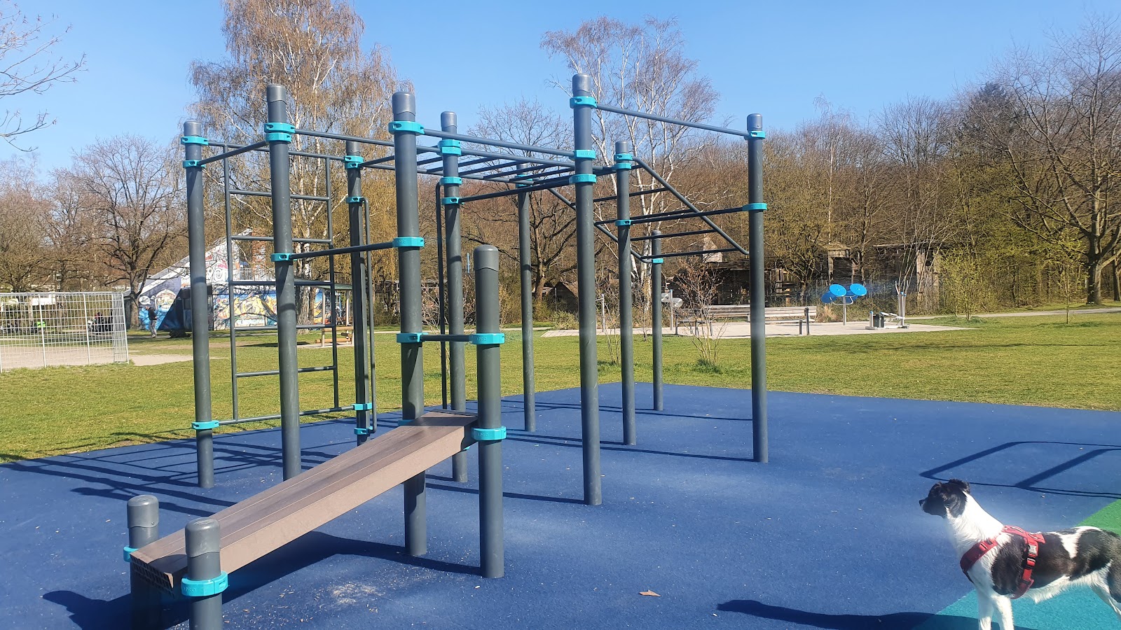 Haspelfelder Weg Fitnessparcours Calisthenics