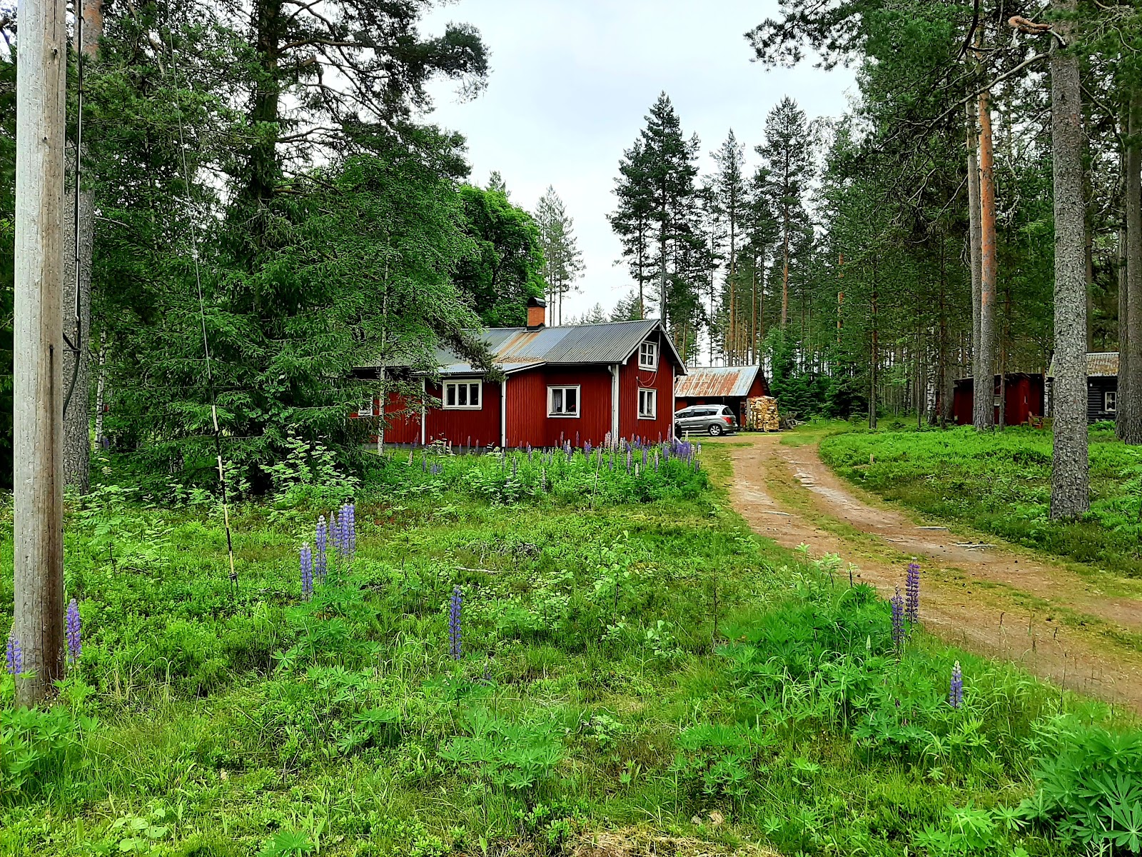 Hedås
