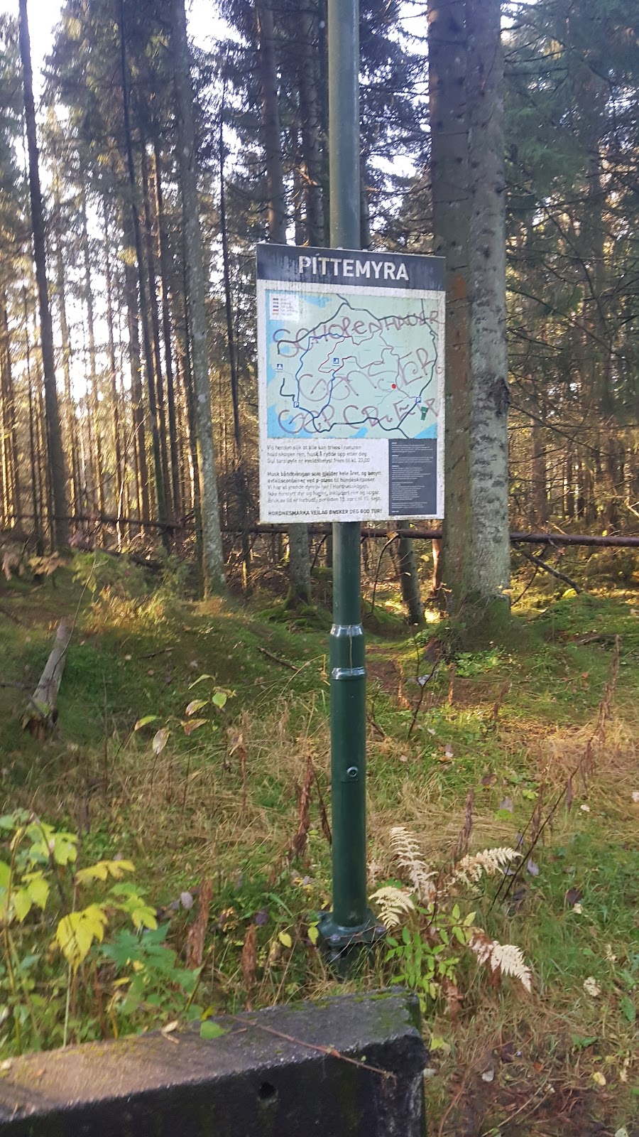 Hordnesskogen p-plass
