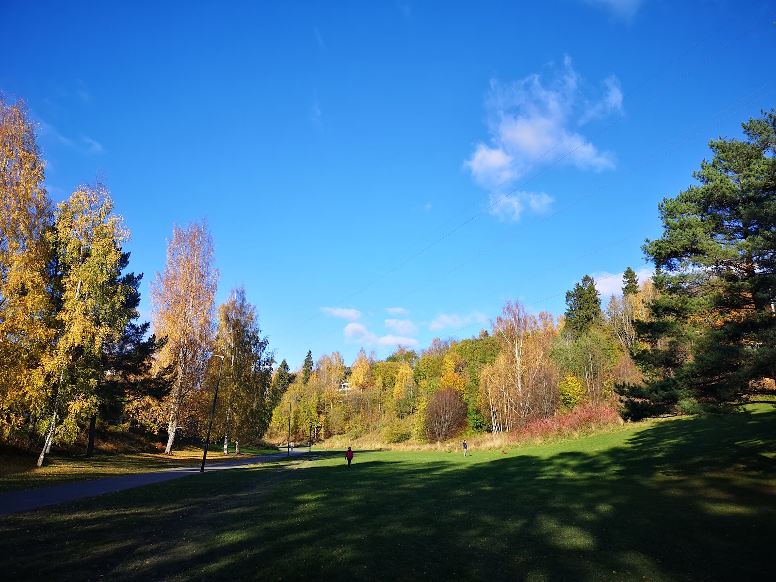 Hovseterdalen