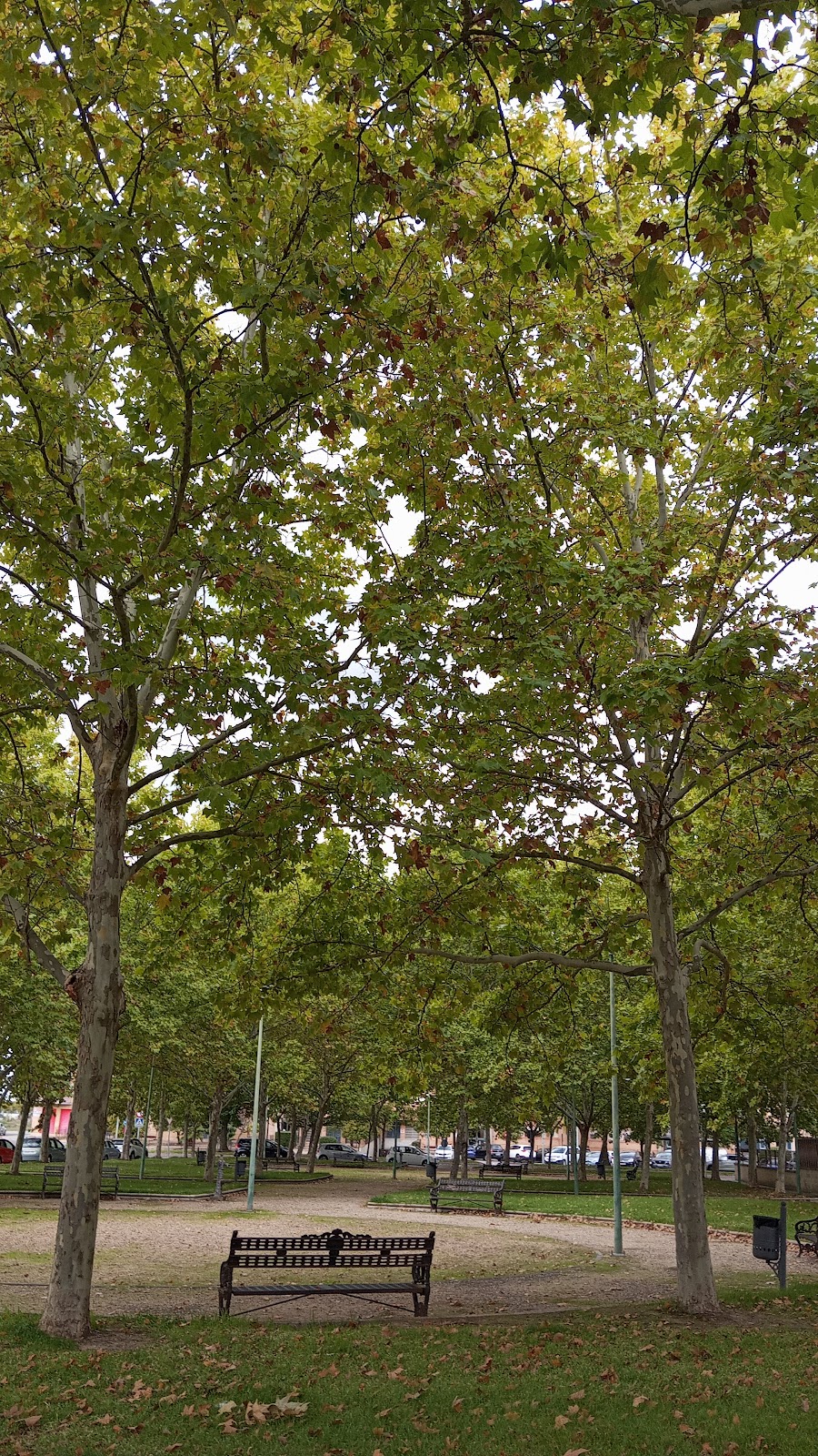 Huerta Rosales Park