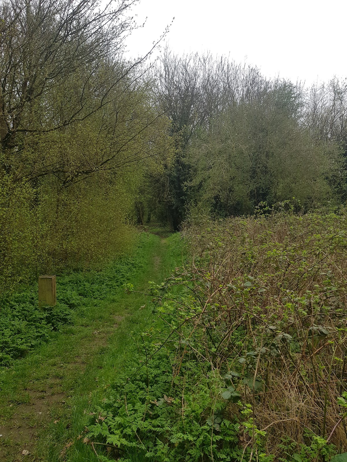 Humberstone Park