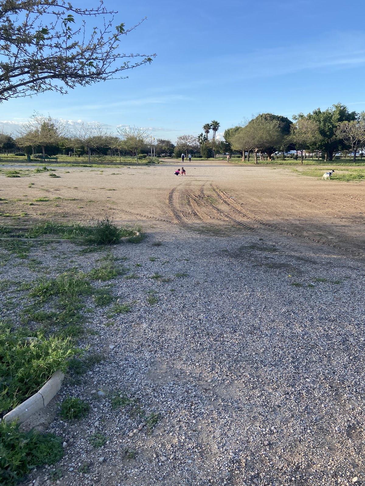 Infantil de los Exploradores de la Region of Murcia Park