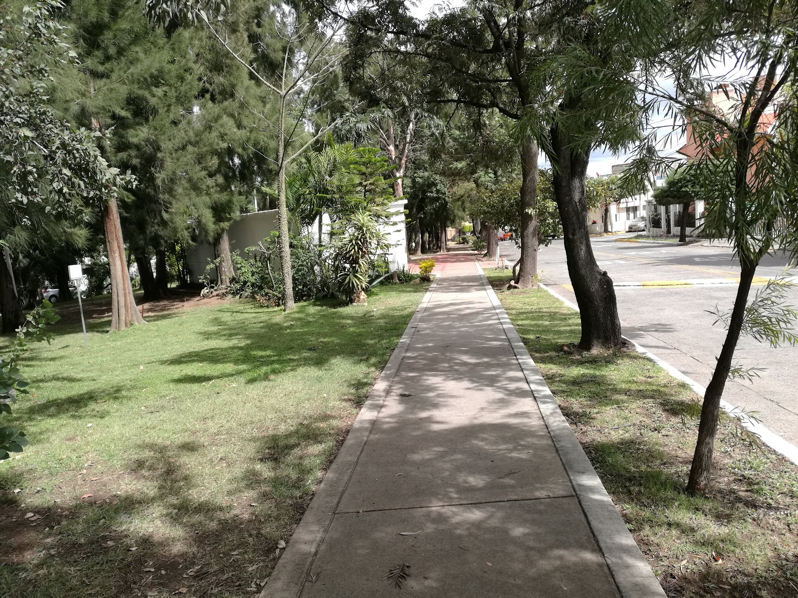 Ing. Armando Camacho B. Park