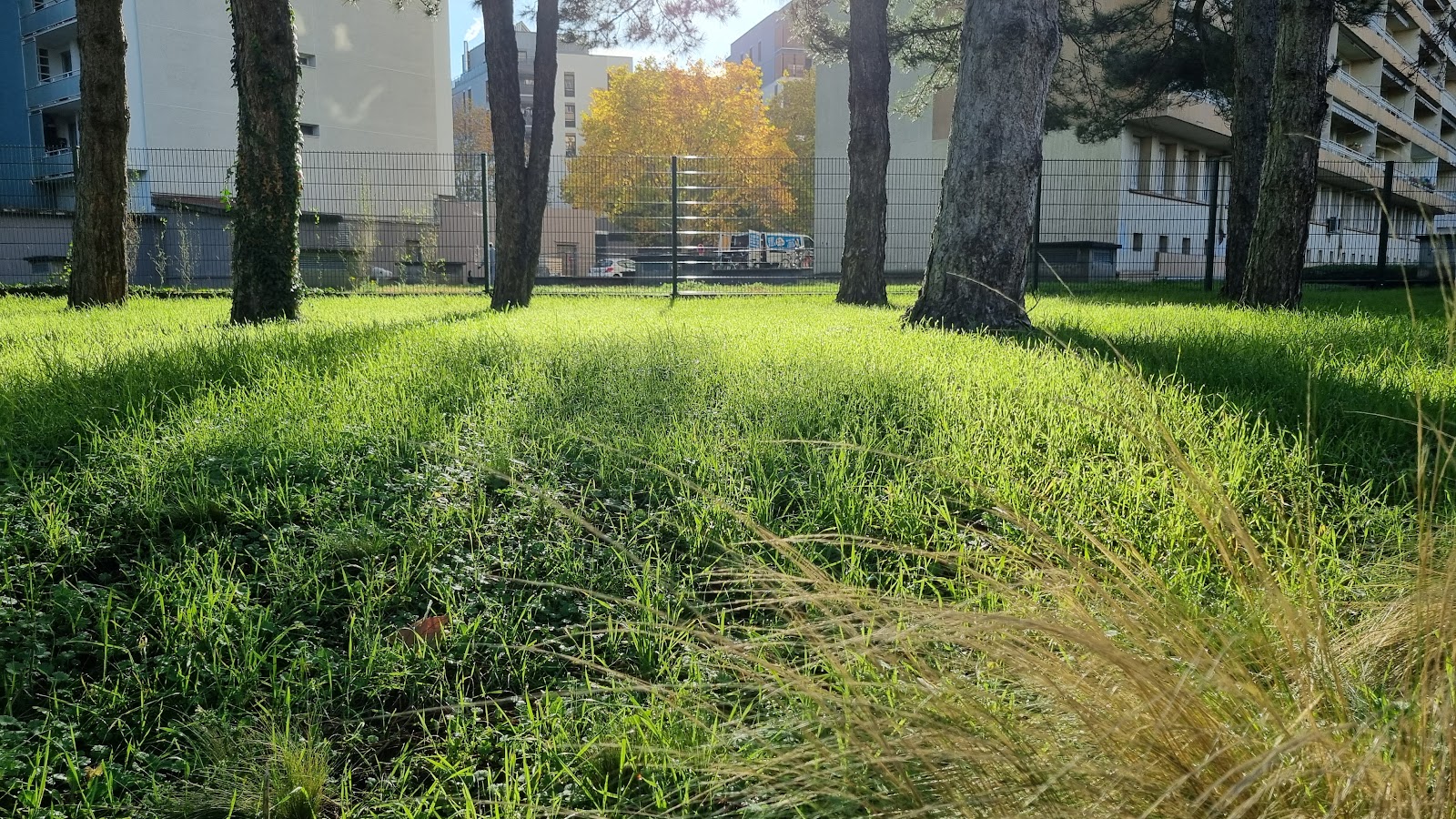 Jardin des Combattants d'Indochine