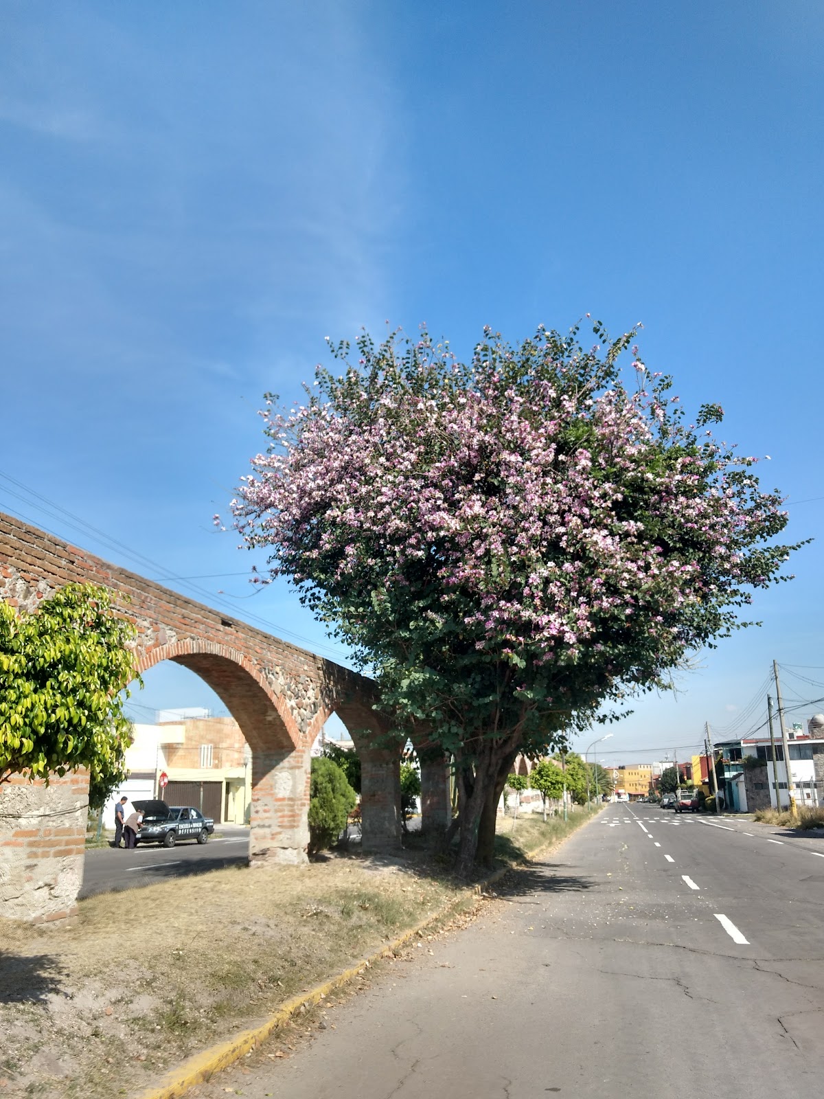 LOS ARCOS MAYORAZGO