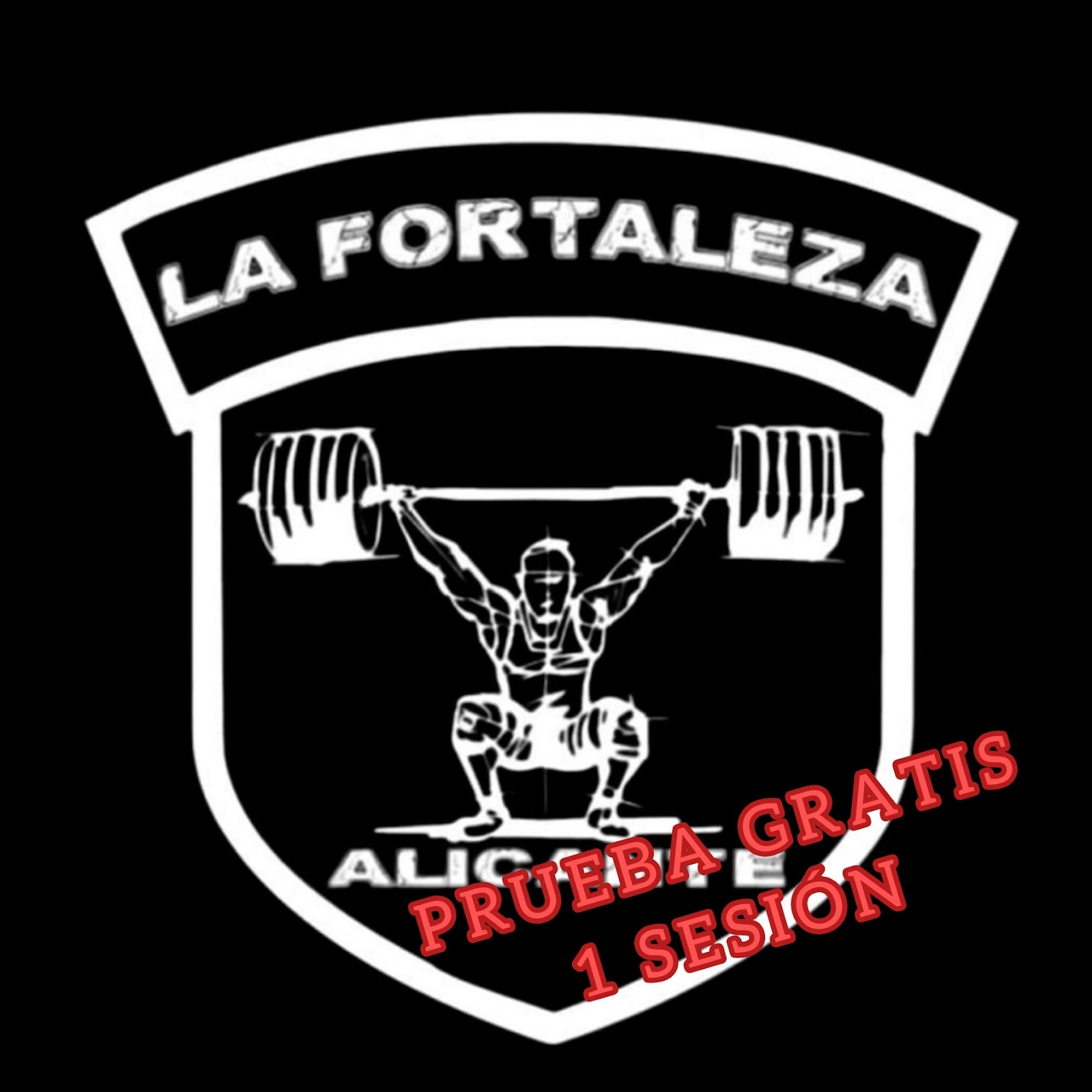 La Fortaleza Centro de Rendimiento y Readaptación