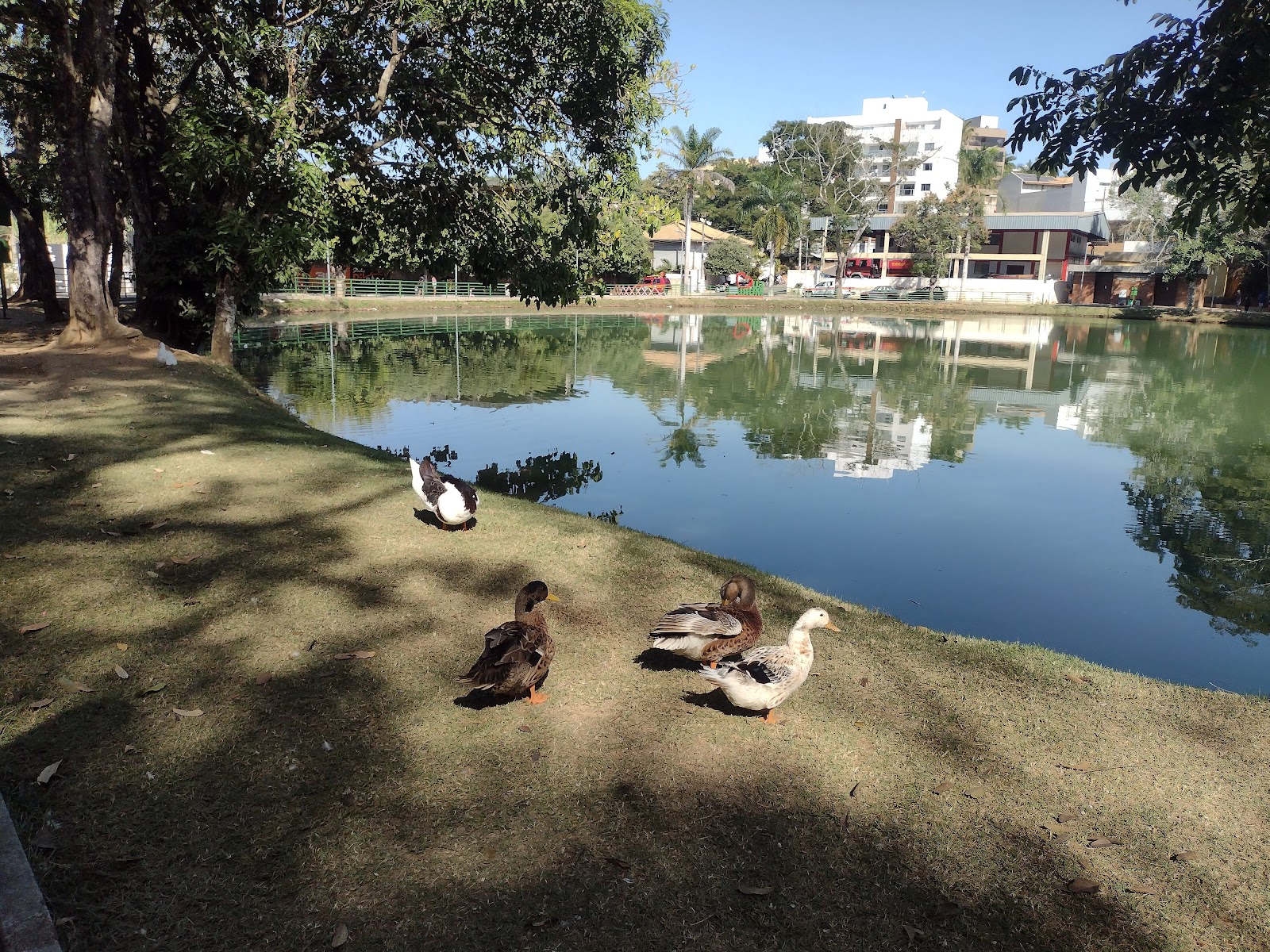 Lagoa da Gávea