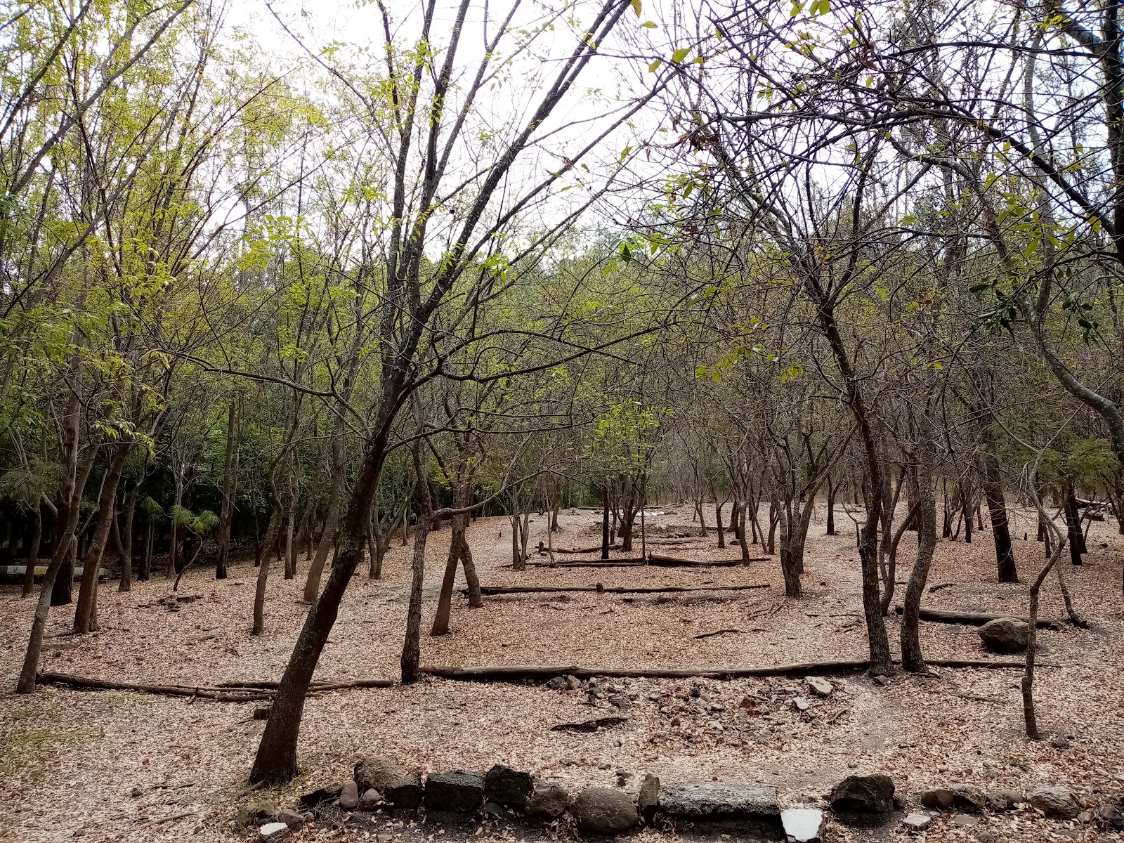 Lazaro Cardenas Park