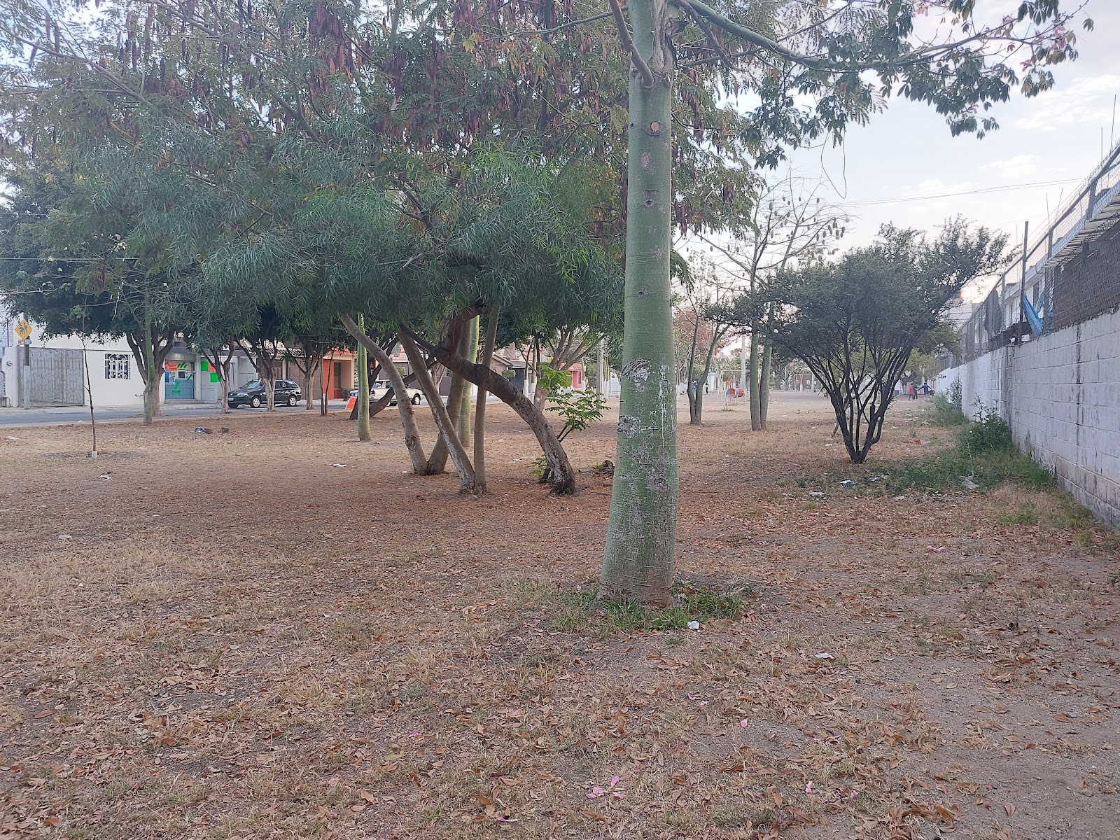 León Sur Park