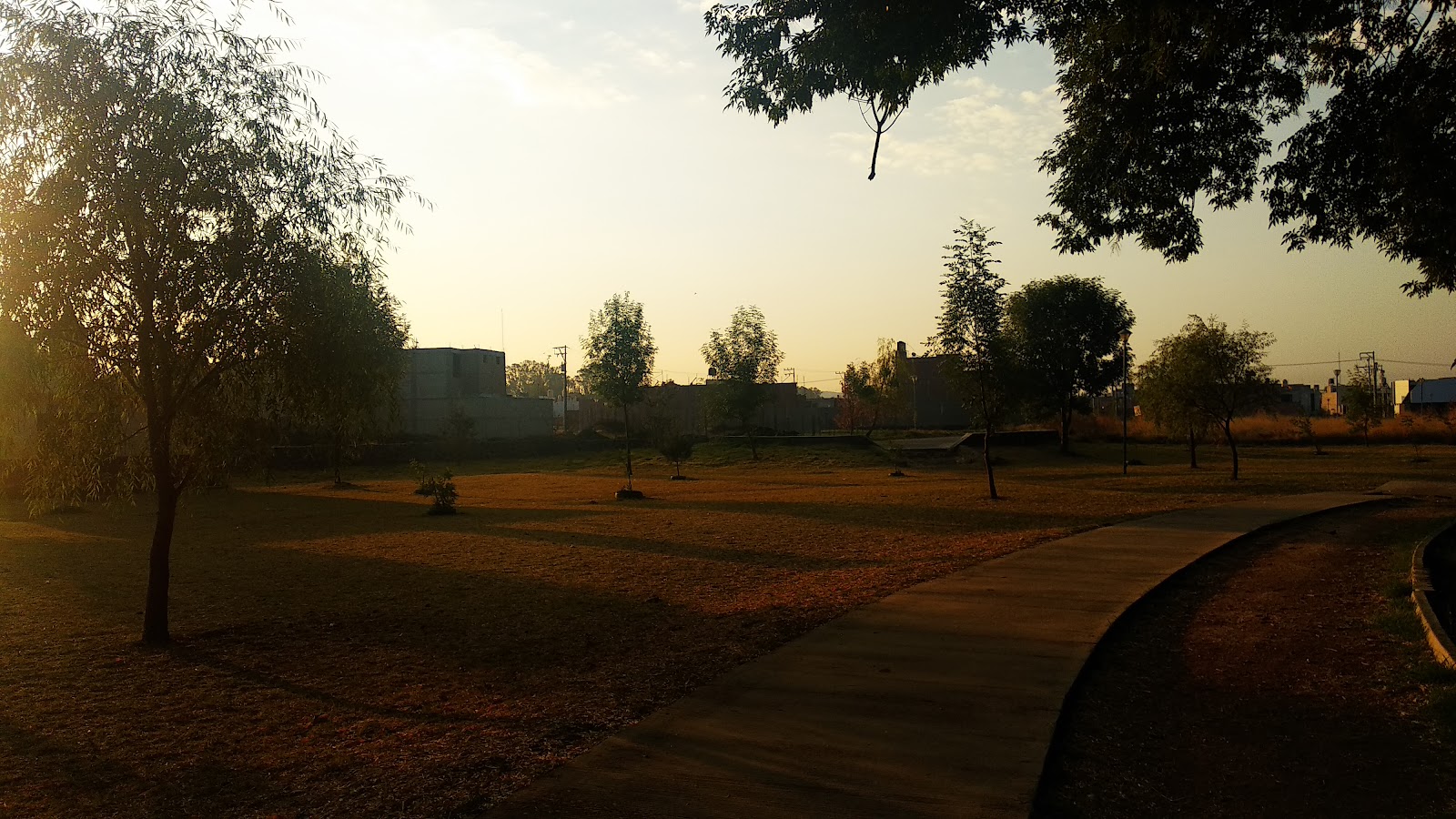 Lineal Park