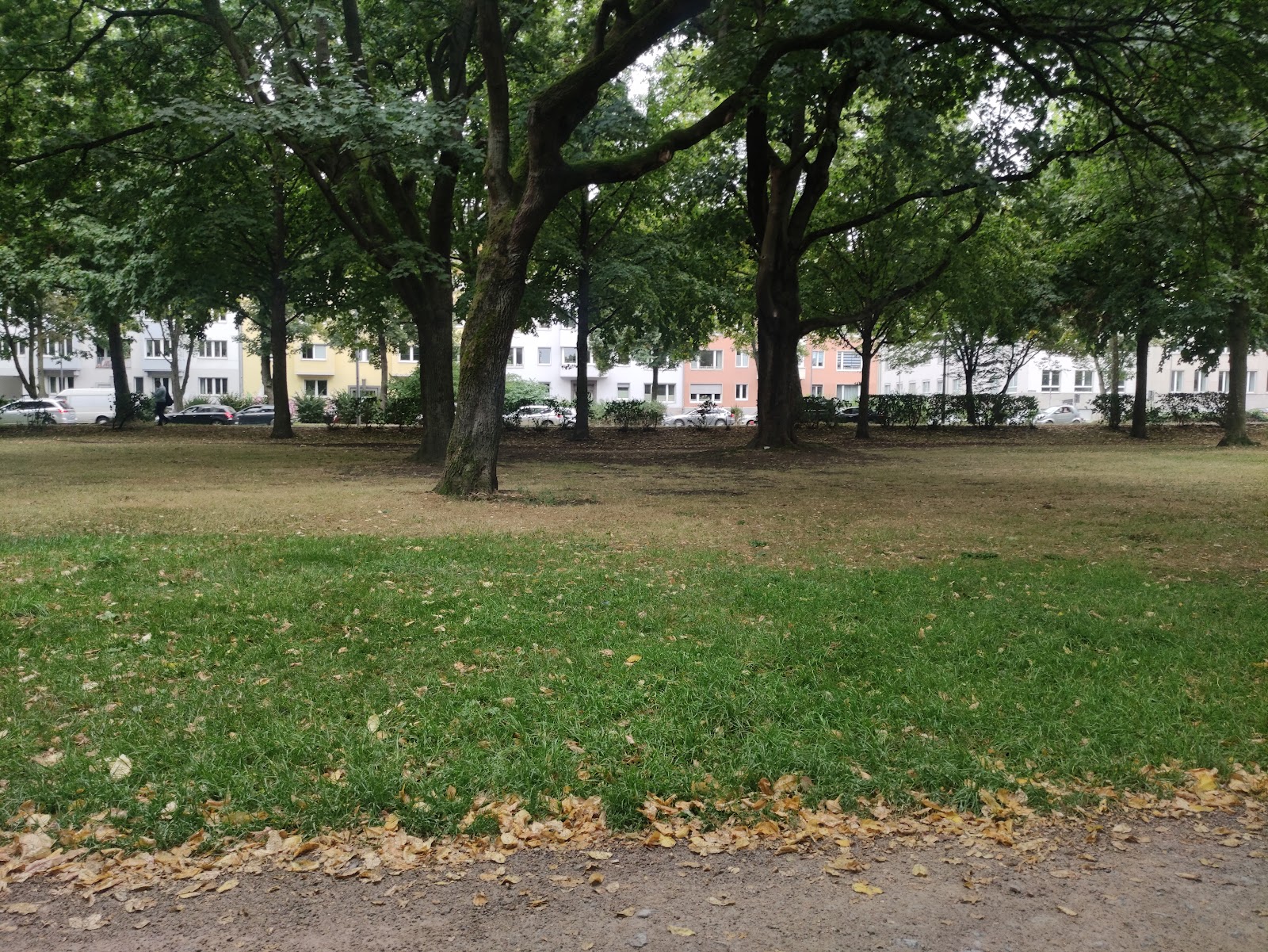 Lohsepark