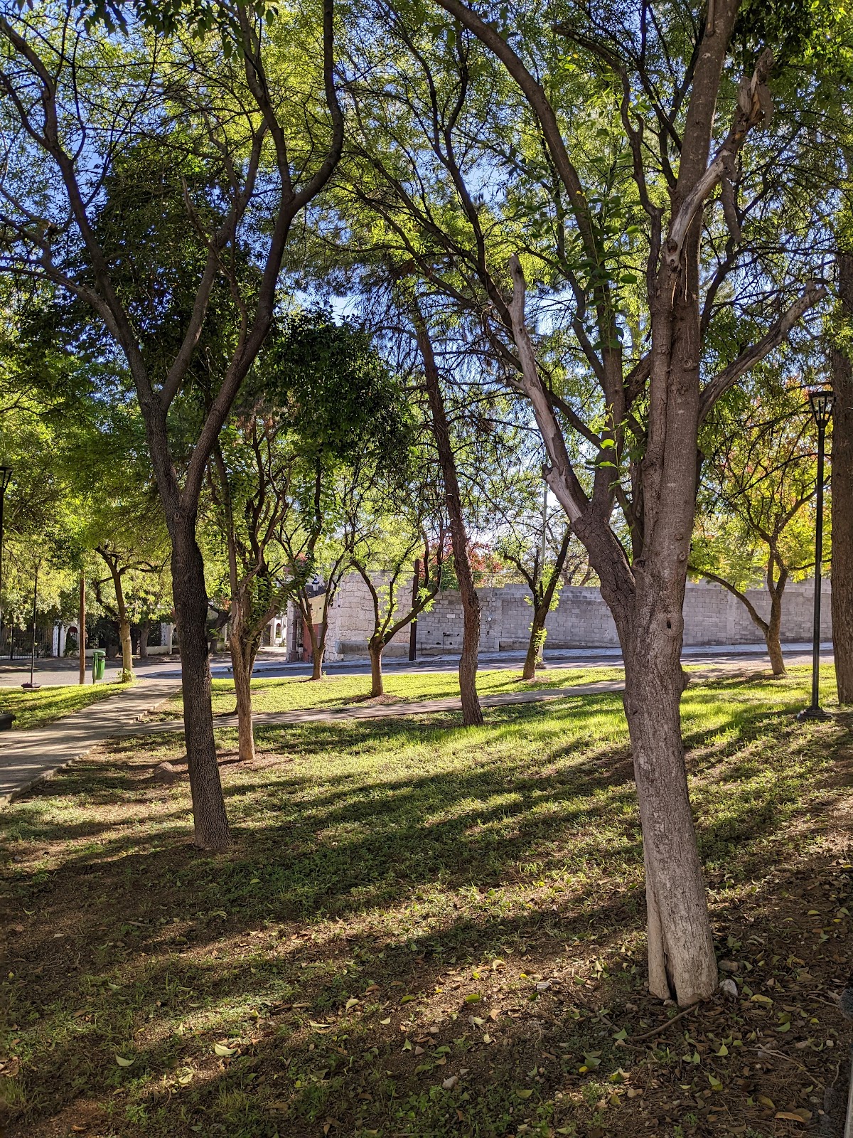 Lomas del Valle Park
