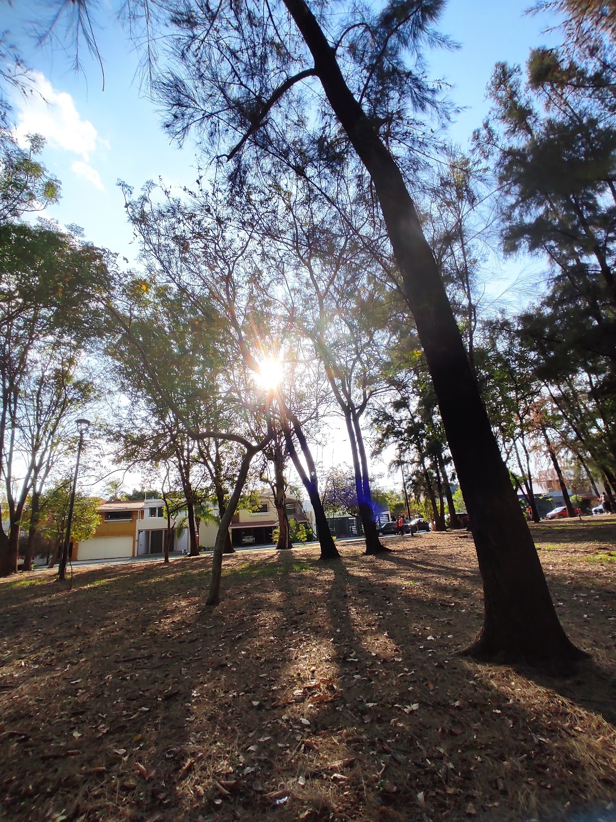 Magisterial Urban Park