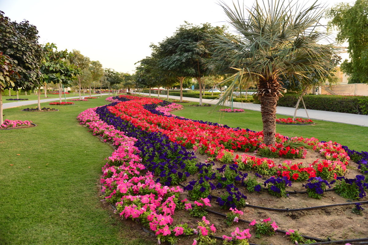 Najma Street Park