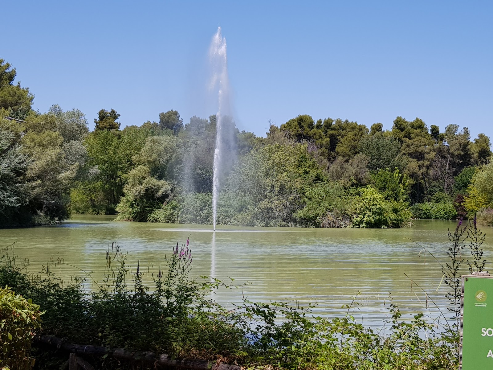 Nature Reserve Pineta Dannunziana