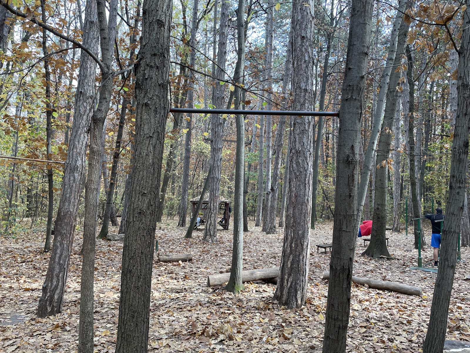 Outdoor fitness/calisthenics area