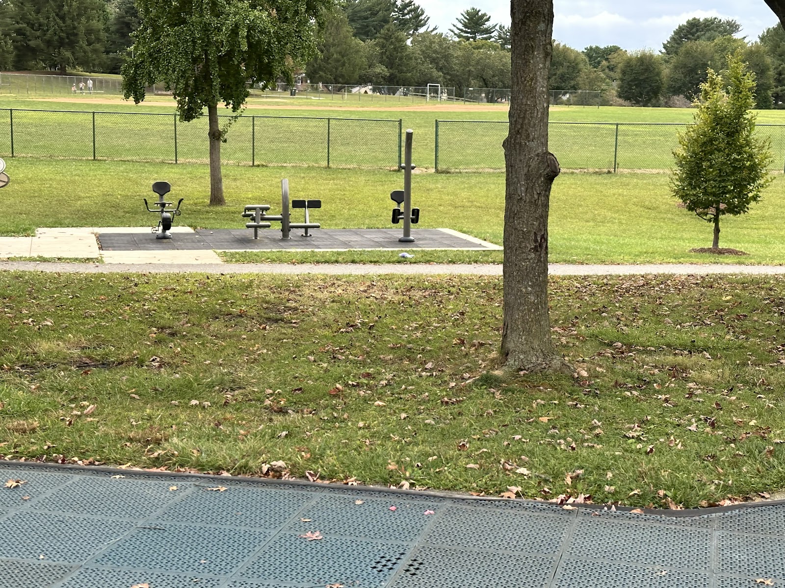 Outdoor Exercise Station