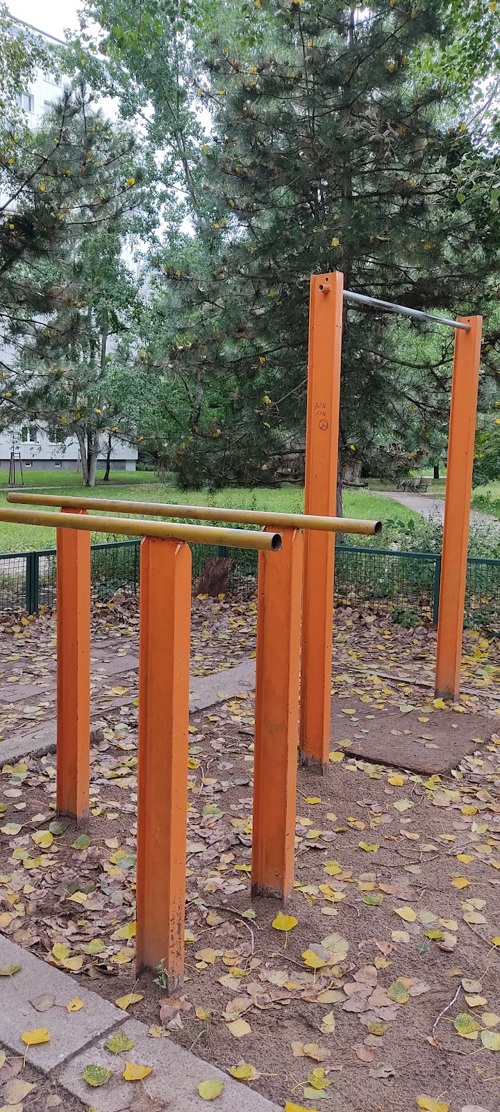 Outdoor gym