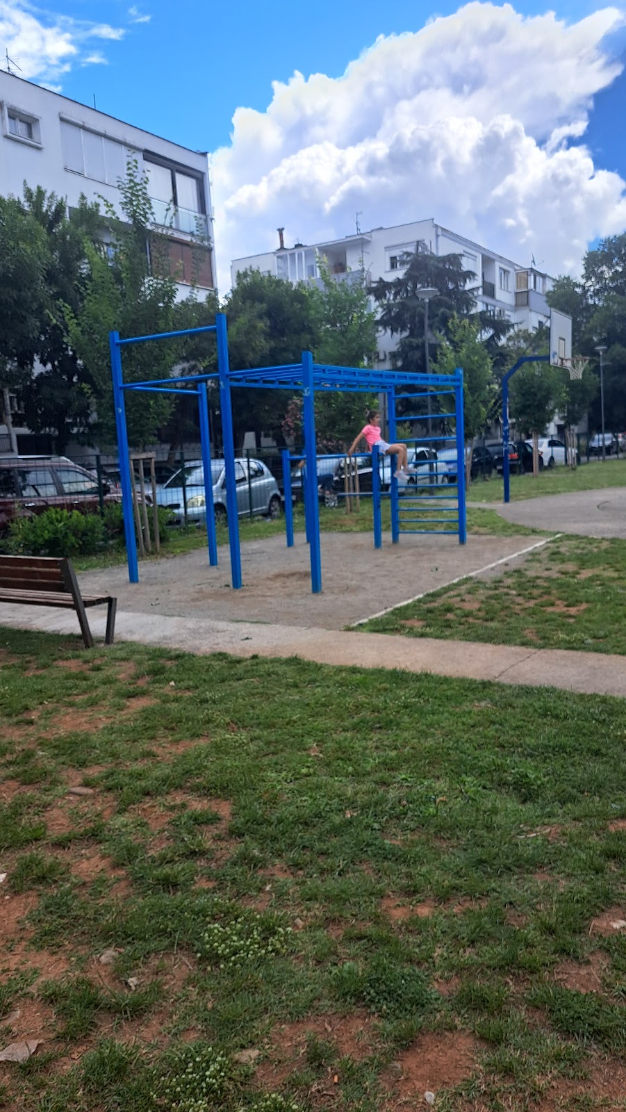 Outdoor street workout calisthenics