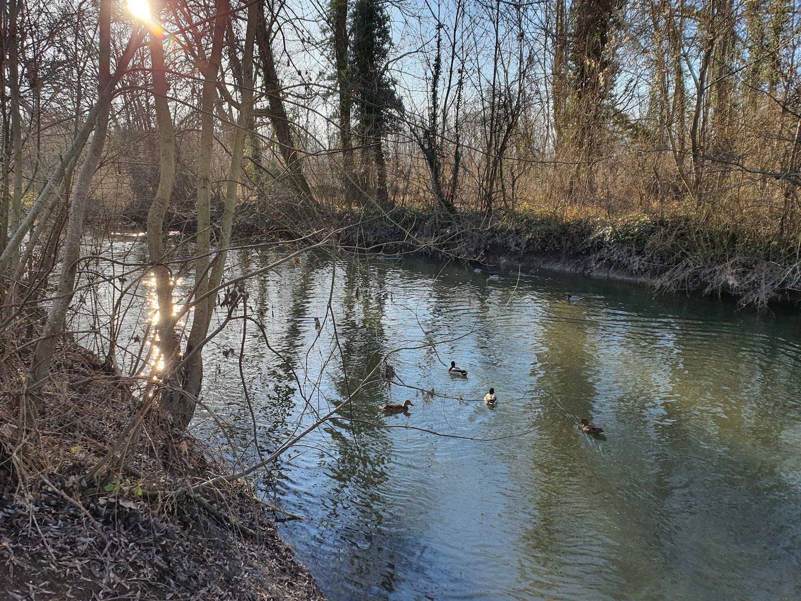 PARC DE SAINT BRICE COURCELLES