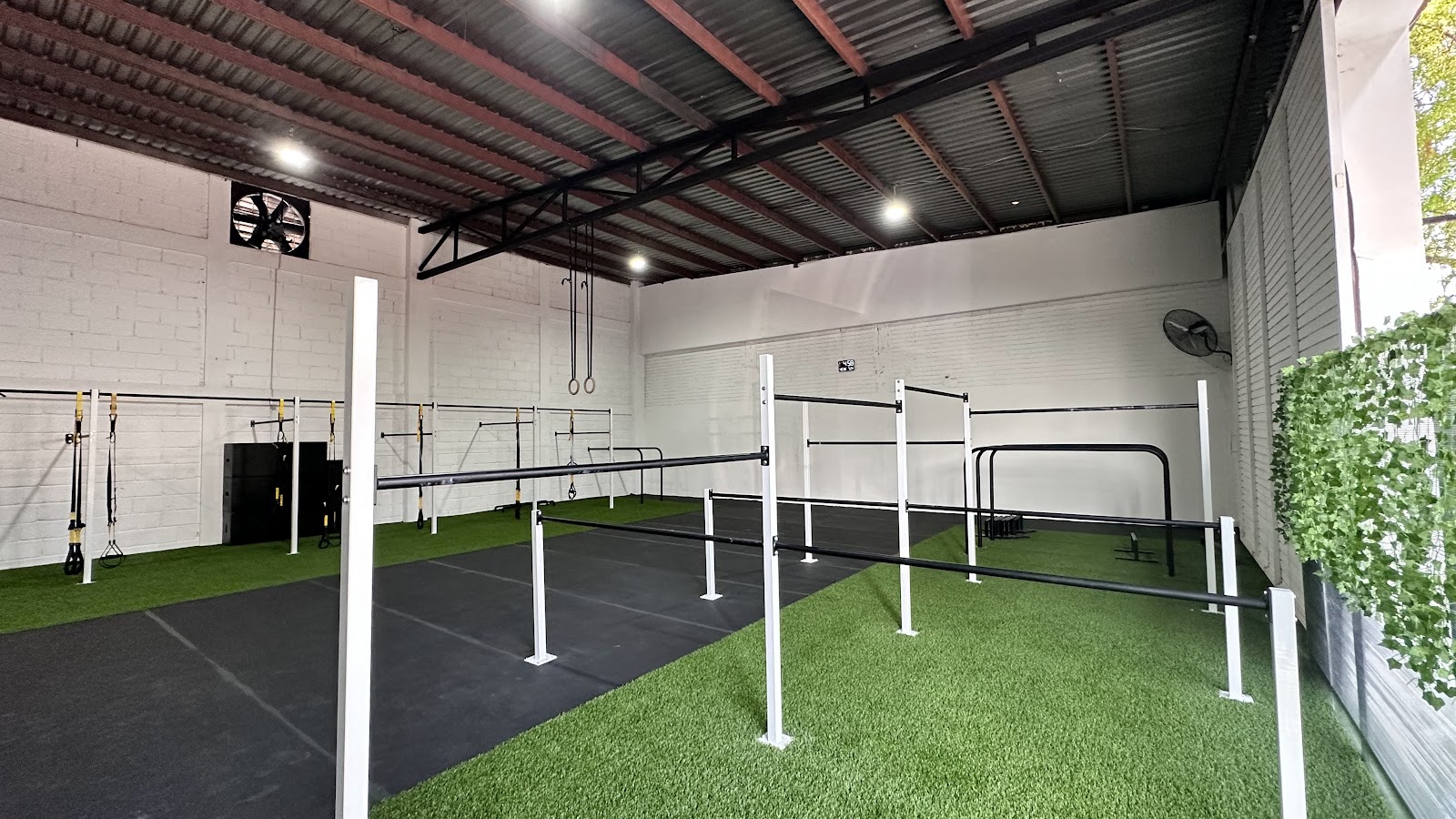 PROCALISTHENICS