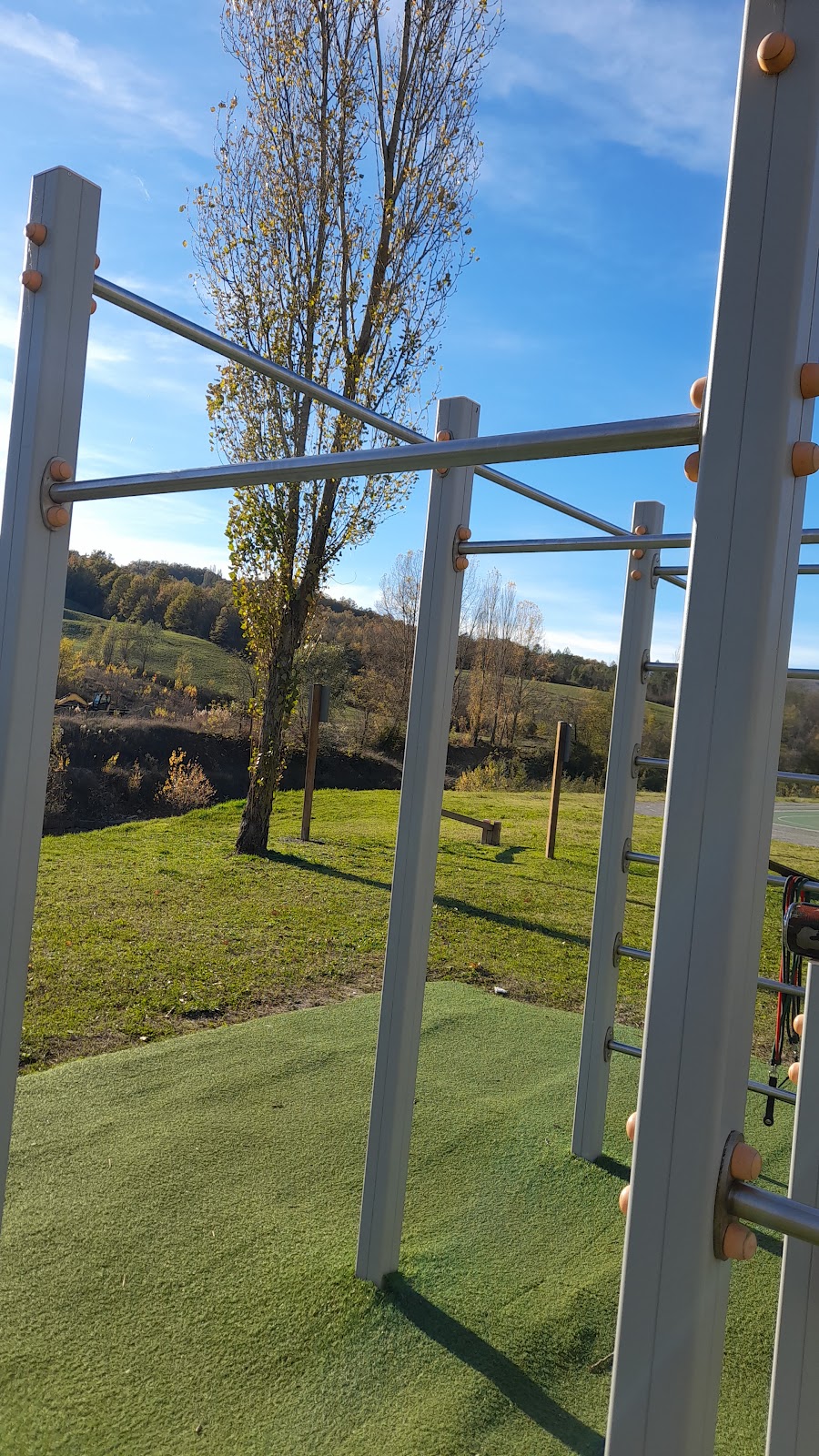 Palestra, Street workout