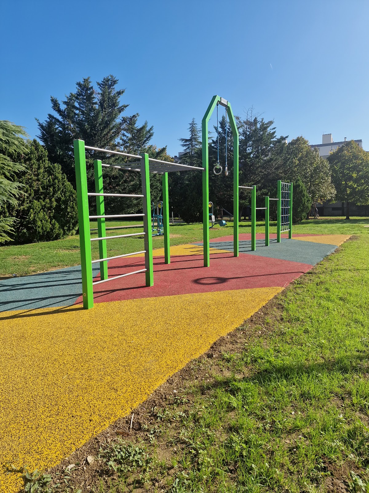 Palestra all'aperto - Calisthenics