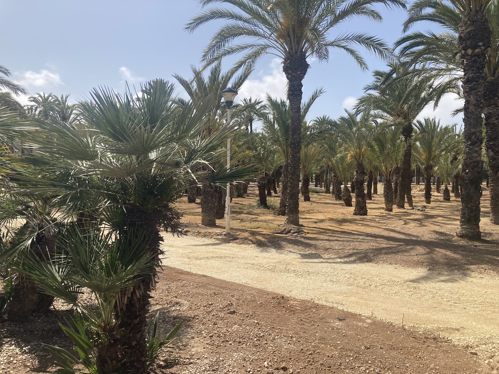 Palmeras Park