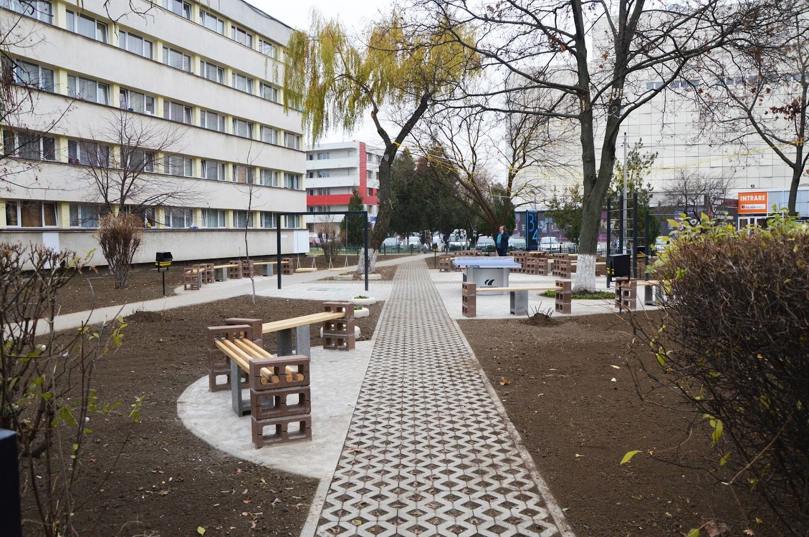 Parc Calisthenics T3/4